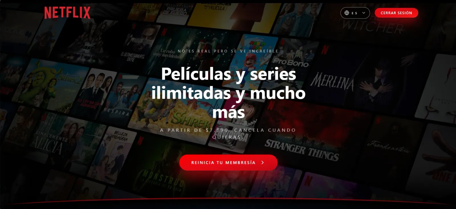 Vista 1 del proyecto Clon UI Netflix
