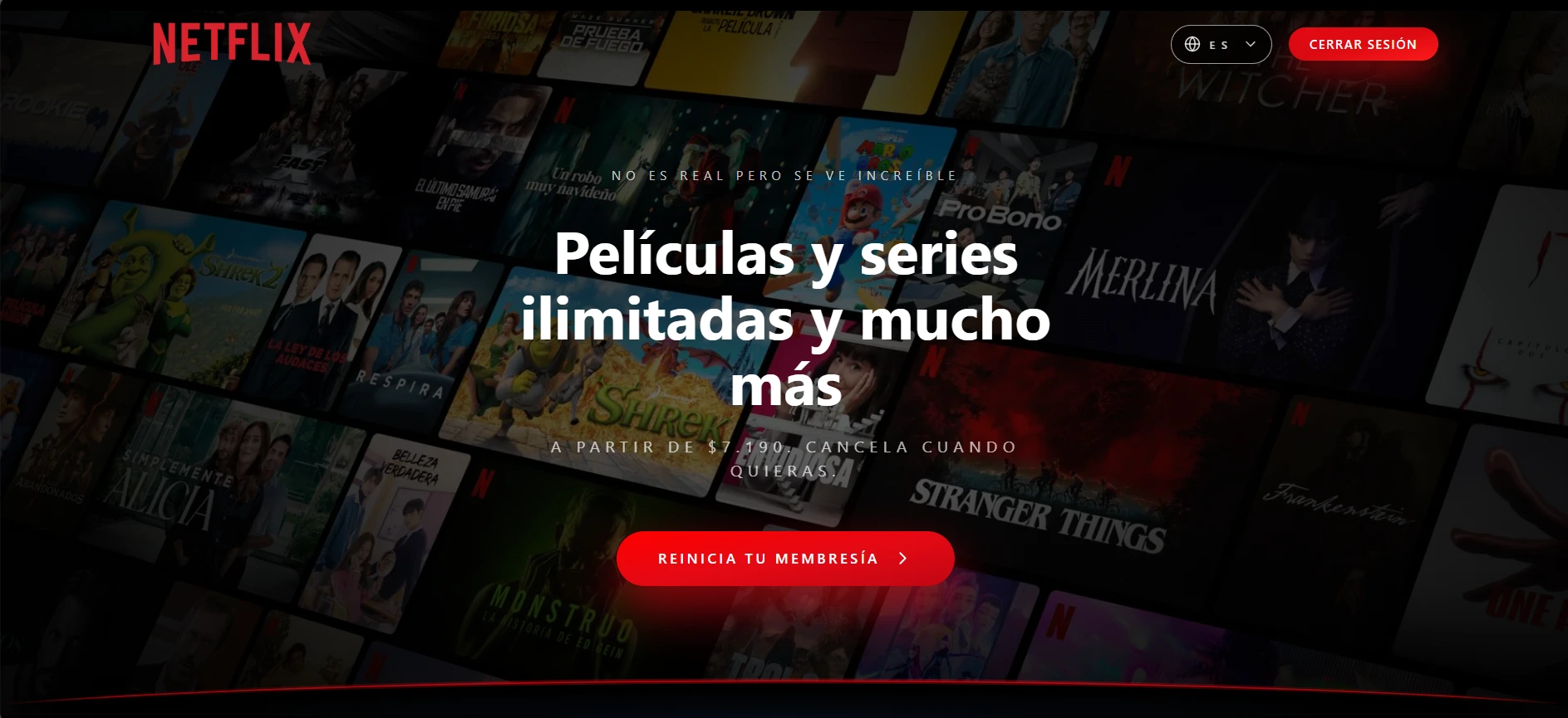 Vista 1 del proyecto Clon UI Netflix